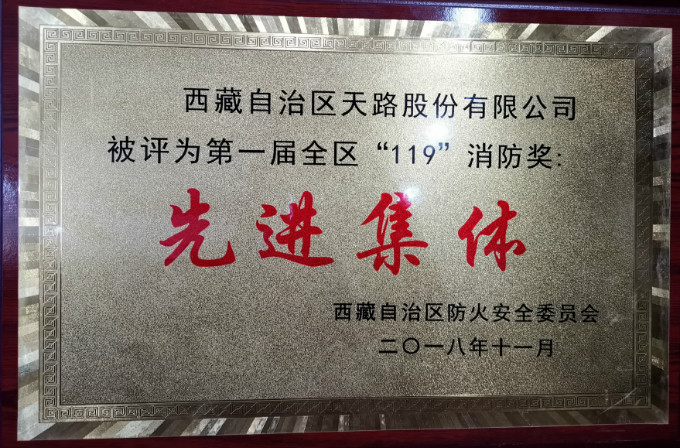 2018年第一届全区“119”消防奖：先进集体